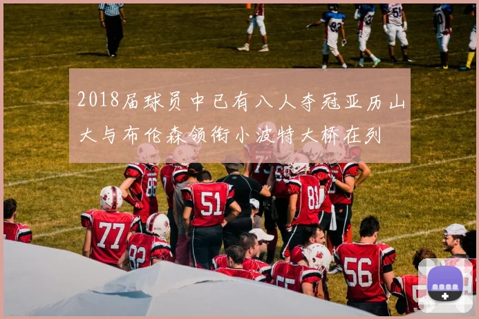 2018届球员中已有八人夺冠亚历山大与布伦森领衔小波特大桥在列