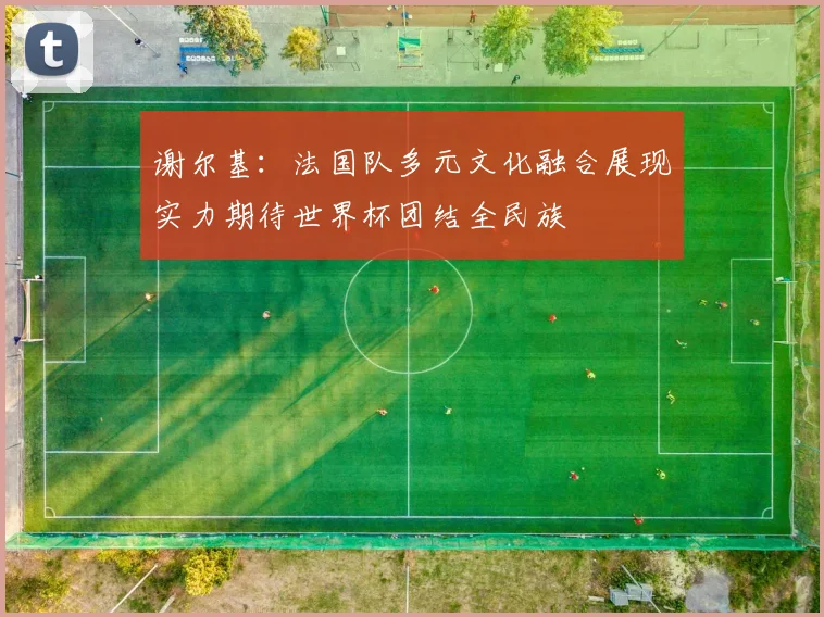 谢尔基：法国队多元文化融合展现实力期待世界杯团结全民族
