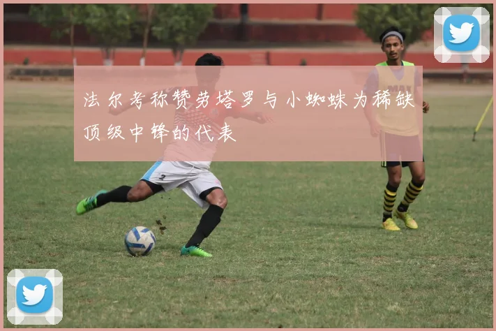 法尔考称赞劳塔罗与小蜘蛛为稀缺顶级中锋的代表