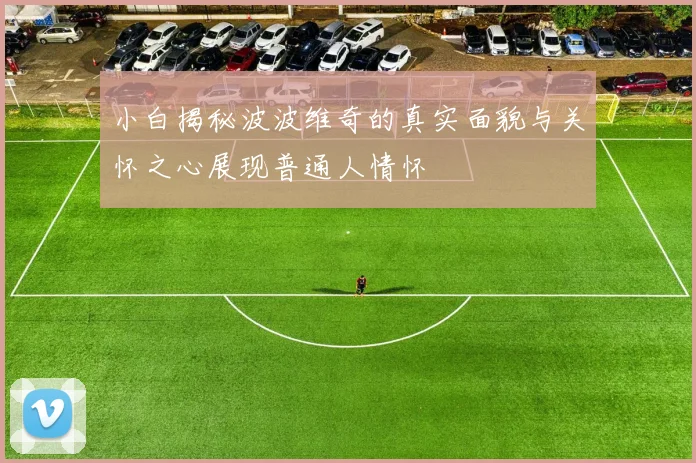 小白揭秘波波维奇的真实面貌与关怀之心展现普通人情怀