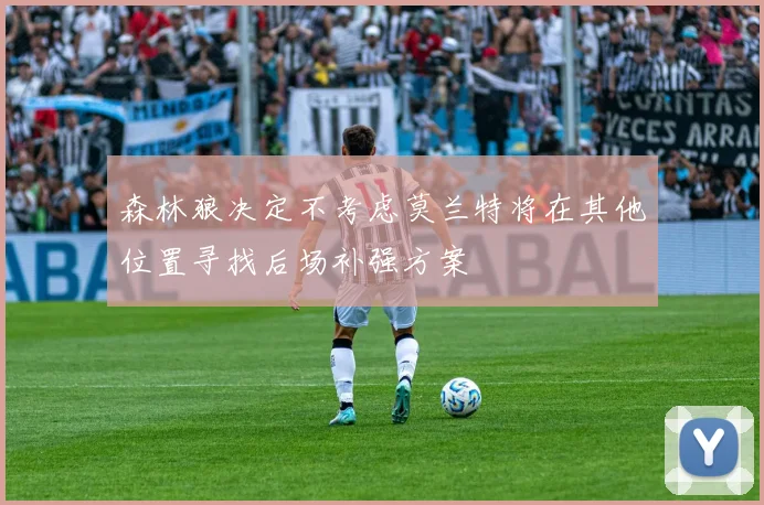 森林狼决定不考虑莫兰特将在其他位置寻找后场补强方案