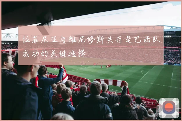 拉菲尼亚与维尼修斯共存是巴西队成功的关键选择