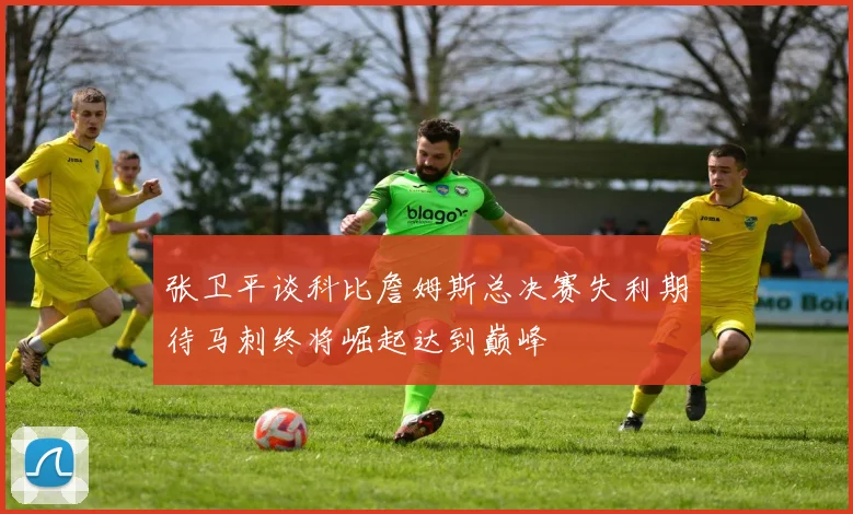 张卫平谈科比詹姆斯总决赛失利期待马刺终将崛起达到巅峰