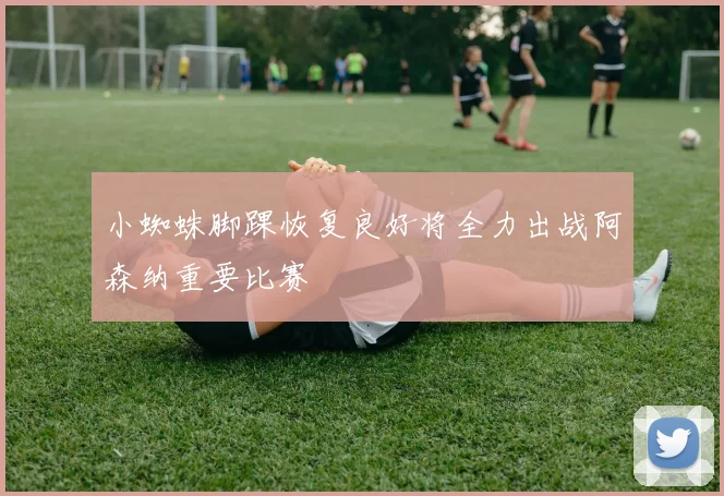 小蜘蛛脚踝恢复良好将全力出战阿森纳重要比赛